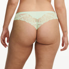 Chantelle Orangerie Dream - Green Lily - C17Q90-00E