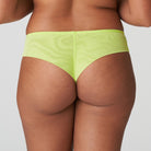 PrimaDonna Sophora - Lime Crush - 0663181-LIU